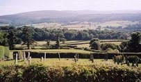 habitants de la campagne anglaise