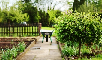 jardin