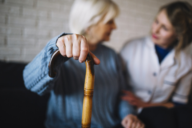 L'auxiliaire de vie sociale